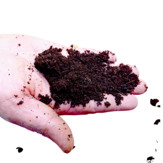 Compost2